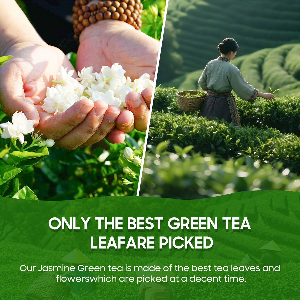 Jasmine Green Tea — Zen & Calm Focus