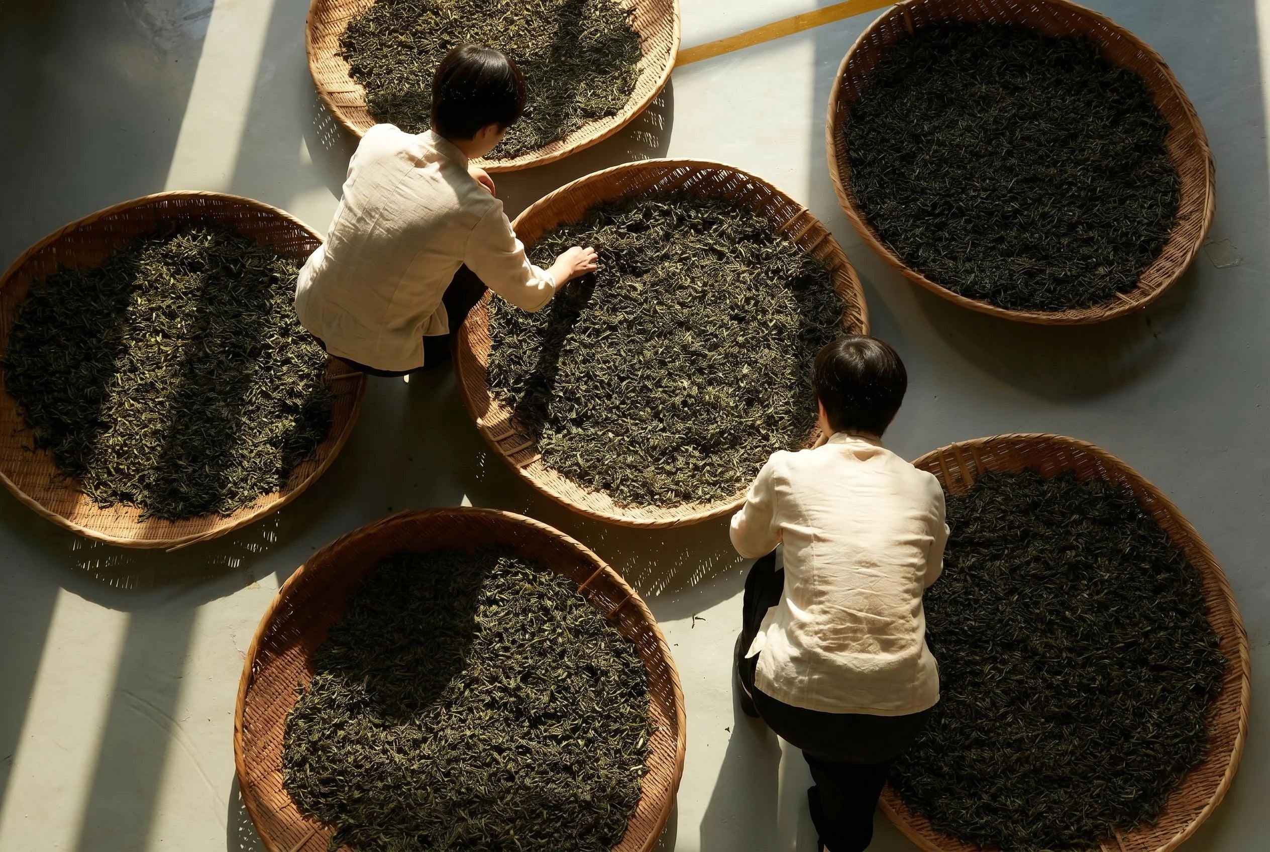 PURELIVA — Tea Sorting